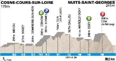 Stage 3 profile